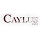 Jeux de société - Caylus 1303