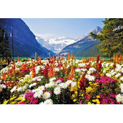 Micro Puzzle : Garden Flowers of Lake Louise - 40 Pièces