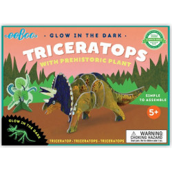 Dinosaures 3D - Triceratops avec plantes préhistoriques