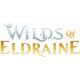 MTG - Booster Draft Anglais Magic Wilds of Eldraine