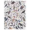 Puzzle New York Puzzle Company - Cornell Lab : Birds of Eastern/Central North America - 1000 Pièces
