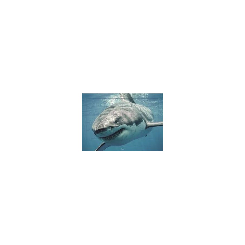 Puzzle Piccolia - Requin - 48 pièces