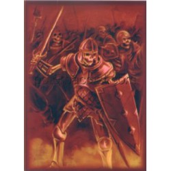Protège-cartes illustré max protection skeleton warrior standard