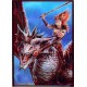 Protège-cartes illustré max protection dragon rider standard